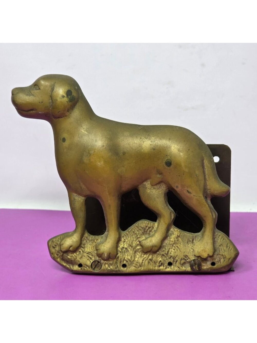 Vintage Brass Dog Wall Match Holder Letter Rack Retriever Hunting Dog